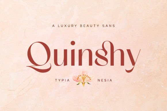Download Quinshy - Premium Bundle